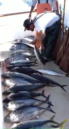 Sport Fishing Videos in San Diego CA